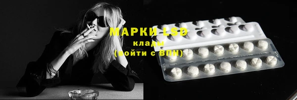 Альфа ПВП Аркадак