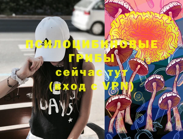 не бодяженный Арсеньев