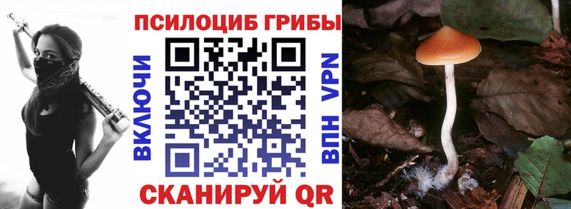 продажа наркотиков  Краснотурьинск  Псилоцибиновые грибы мицелий 
